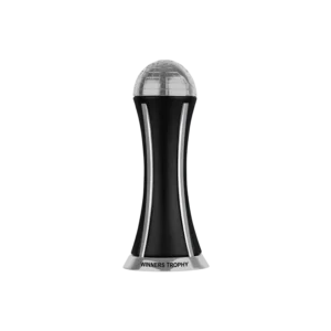 winners trophy silver